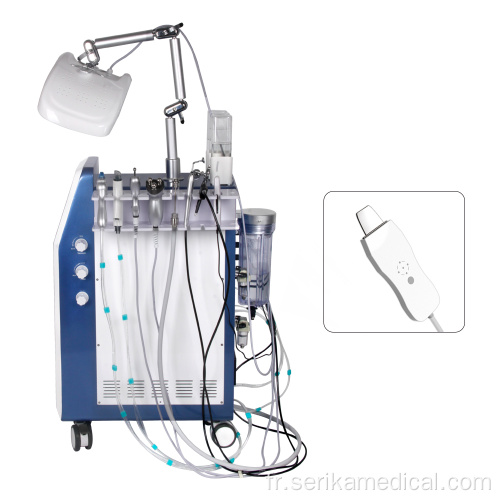 Machine hydrafaciale professionnelle de 9 en 1 multifonctionnel